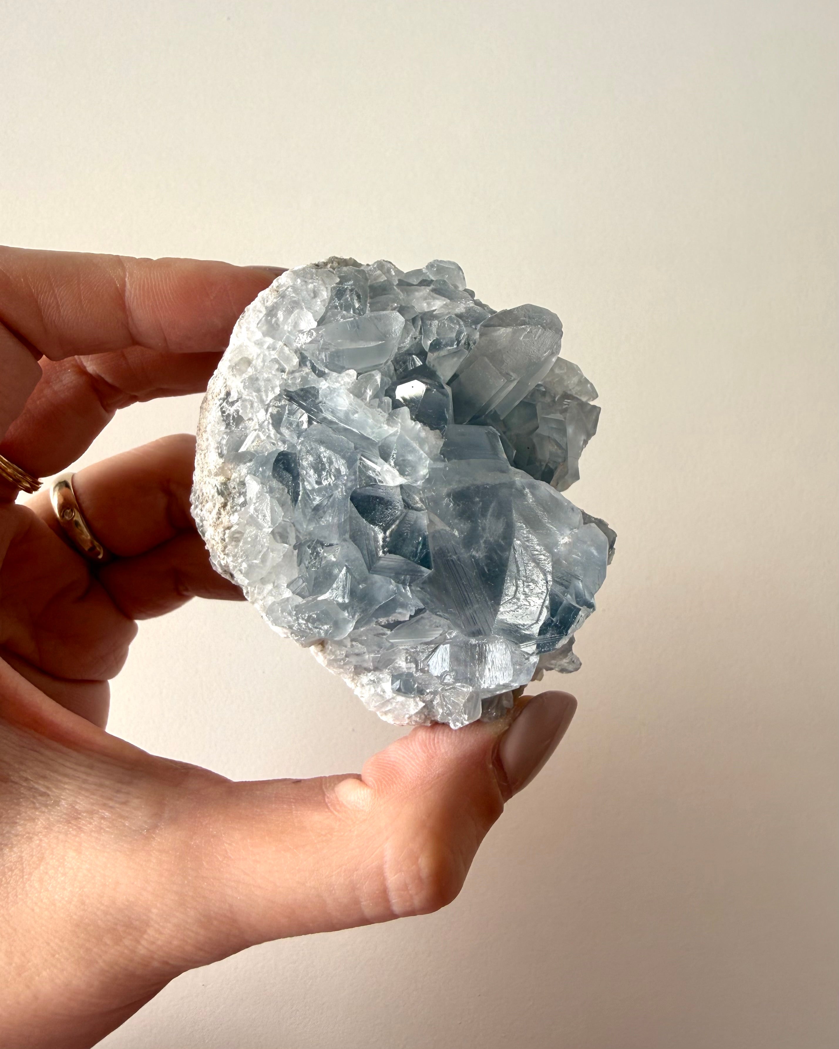 Drusa di Celestina (13)