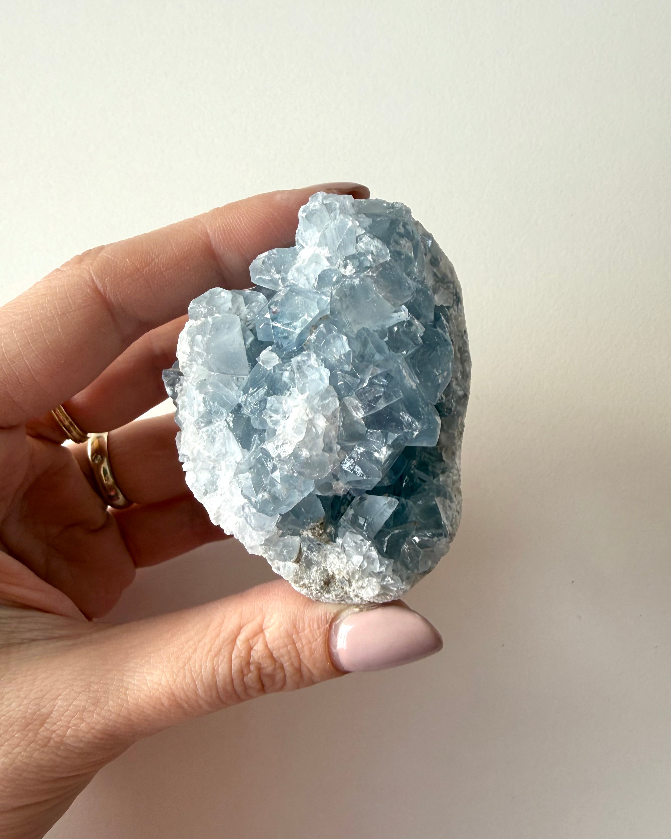 Drusa di Celestina (4)