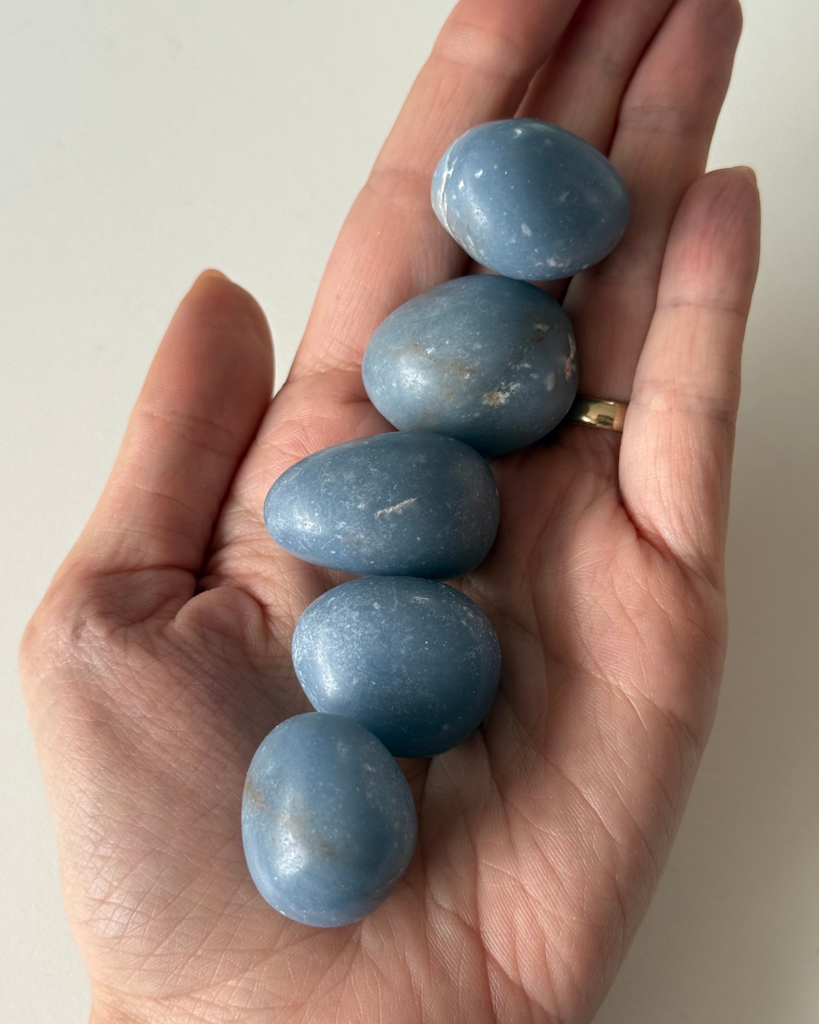 Angelite burattata