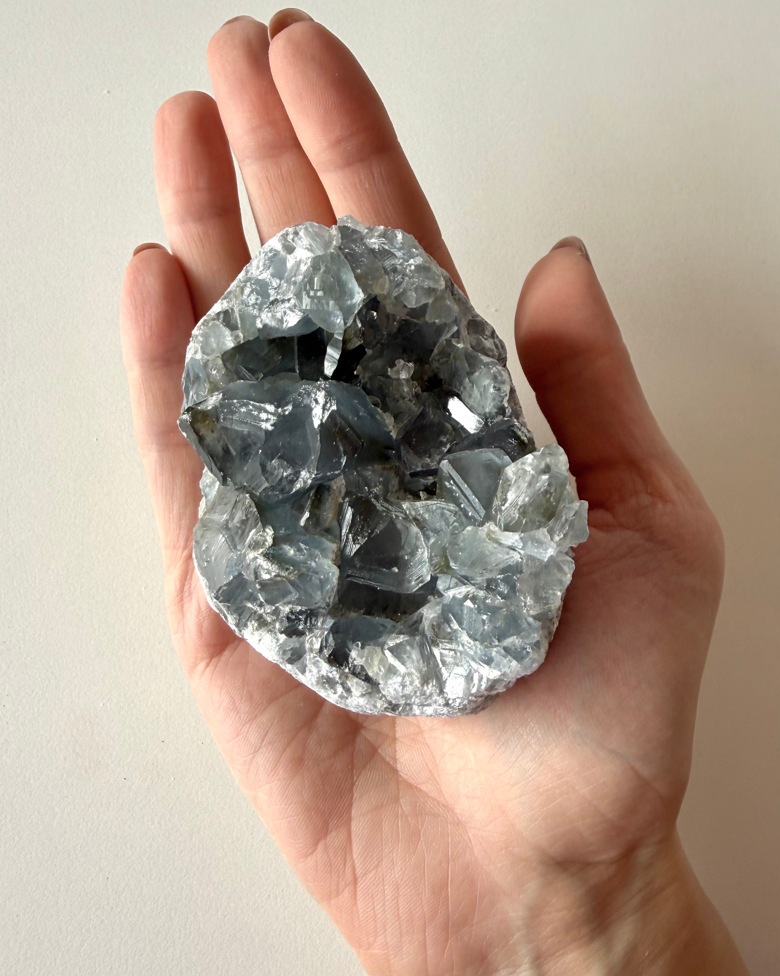 Drusa di Celestina (10)