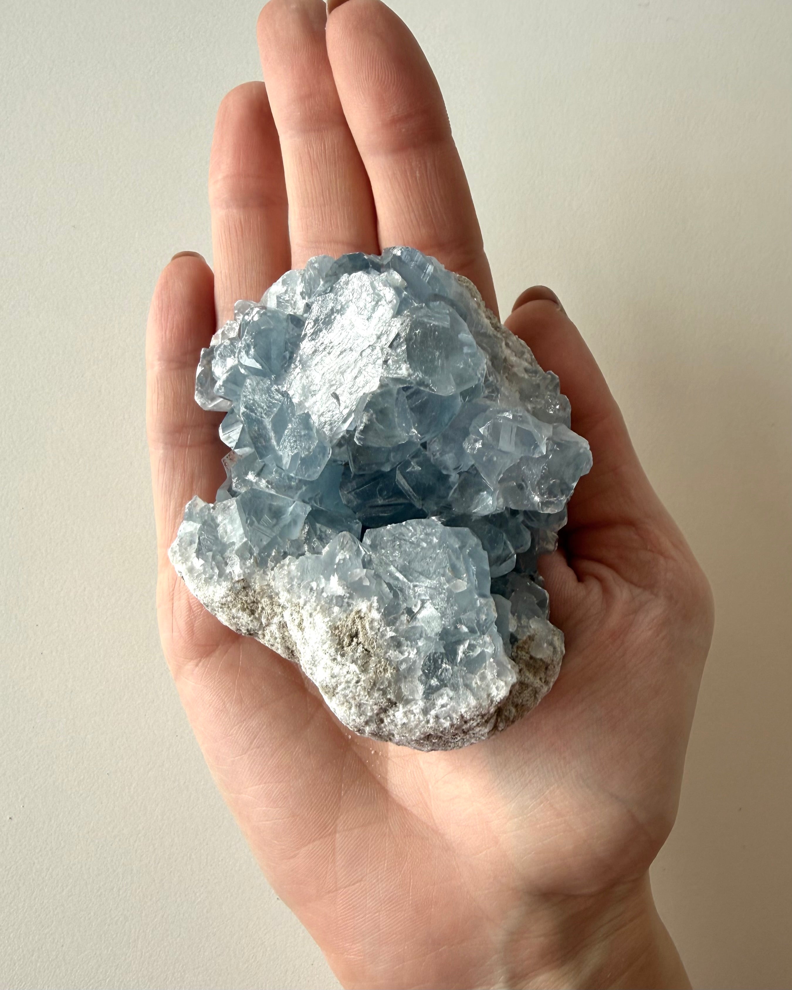 Drusa di Celestina (3)