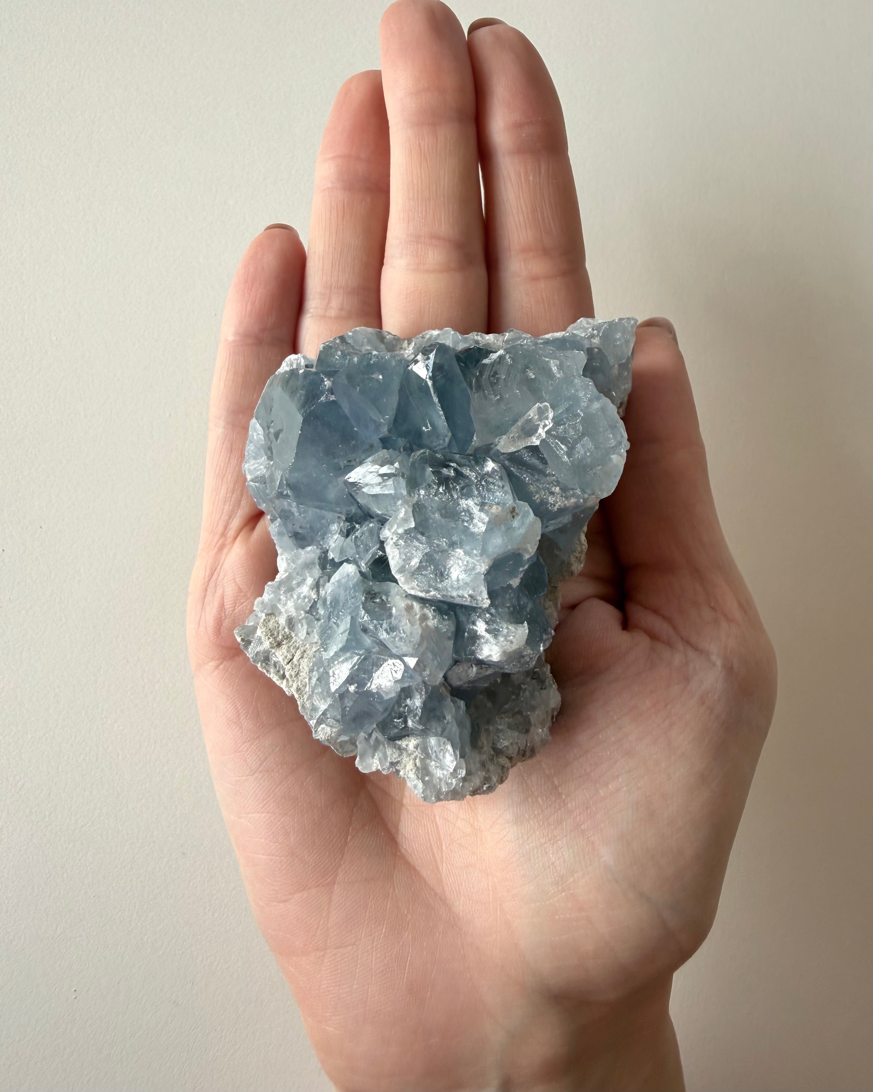 Drusa di Celestina (15)