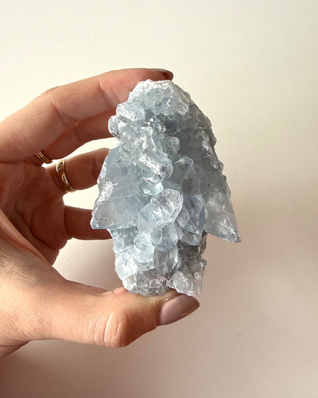 Drusa di Celestina (9)