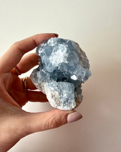 Drusa di Celestina (3)