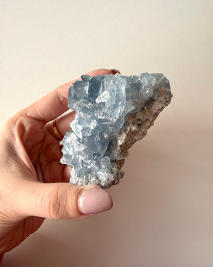 Drusa di Celestina (15)