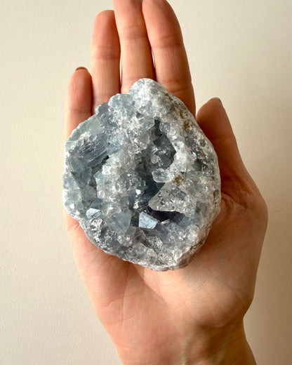 Drusa di Celestina (11)