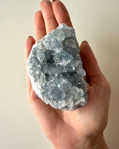 Drusa di Celestina (2)