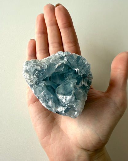 Drusa di Celestina (8)