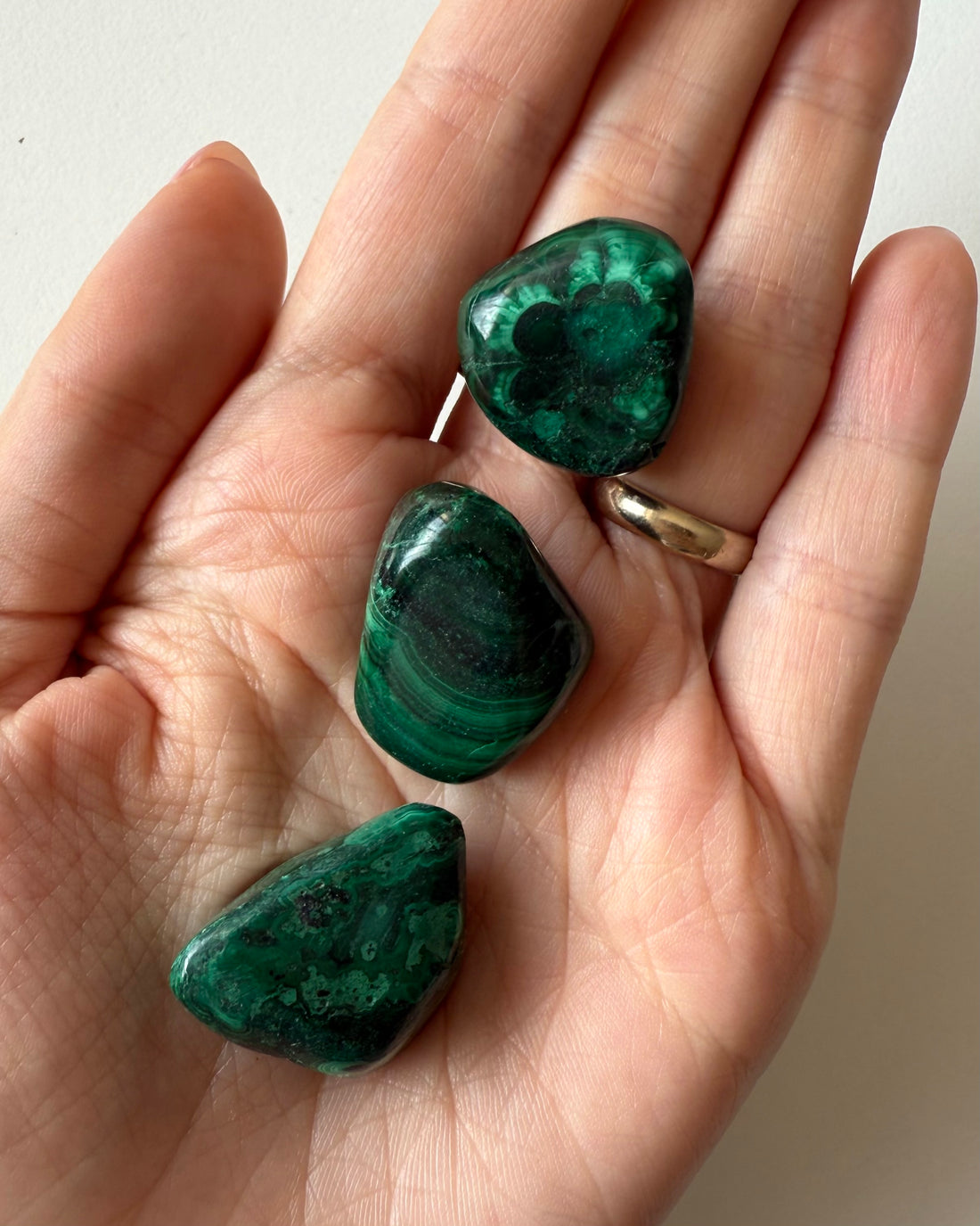 Malachite burattata