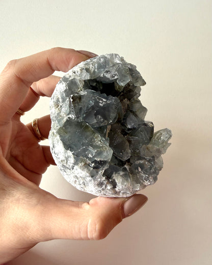 Drusa di Celestina (10)