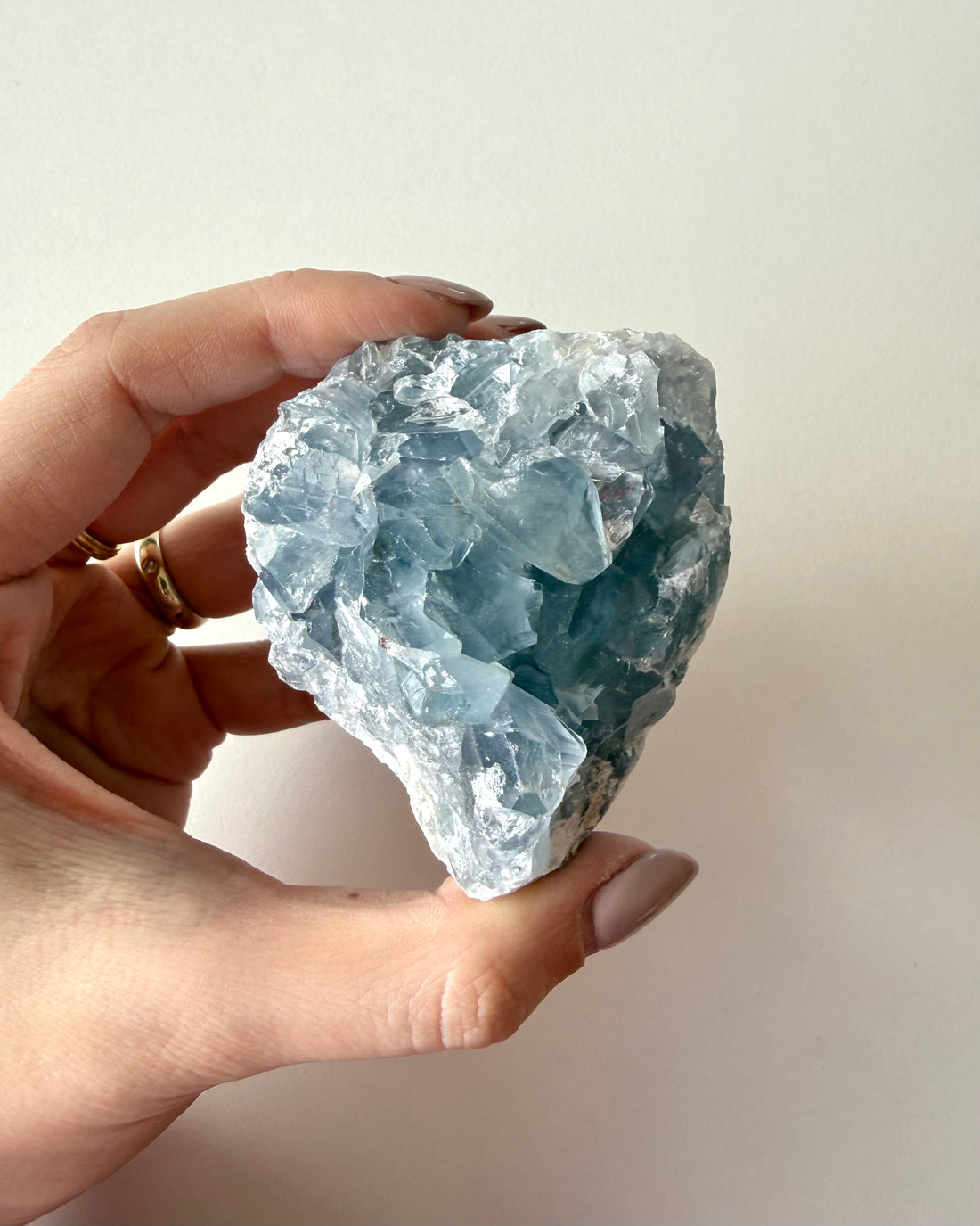 Drusa di Celestina (8)