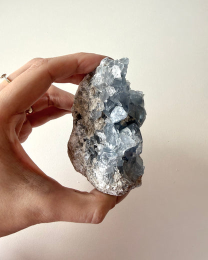 Drusa di Celestina (12)