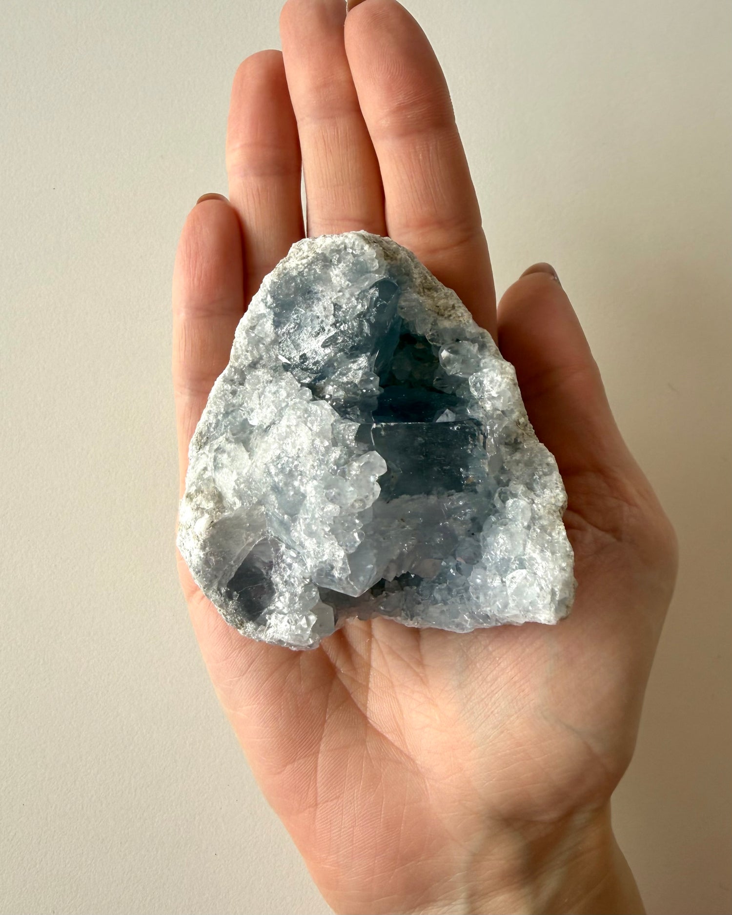 Drusa di Celestina (5)