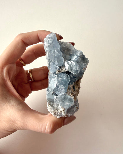 Drusa di Celestina (12)