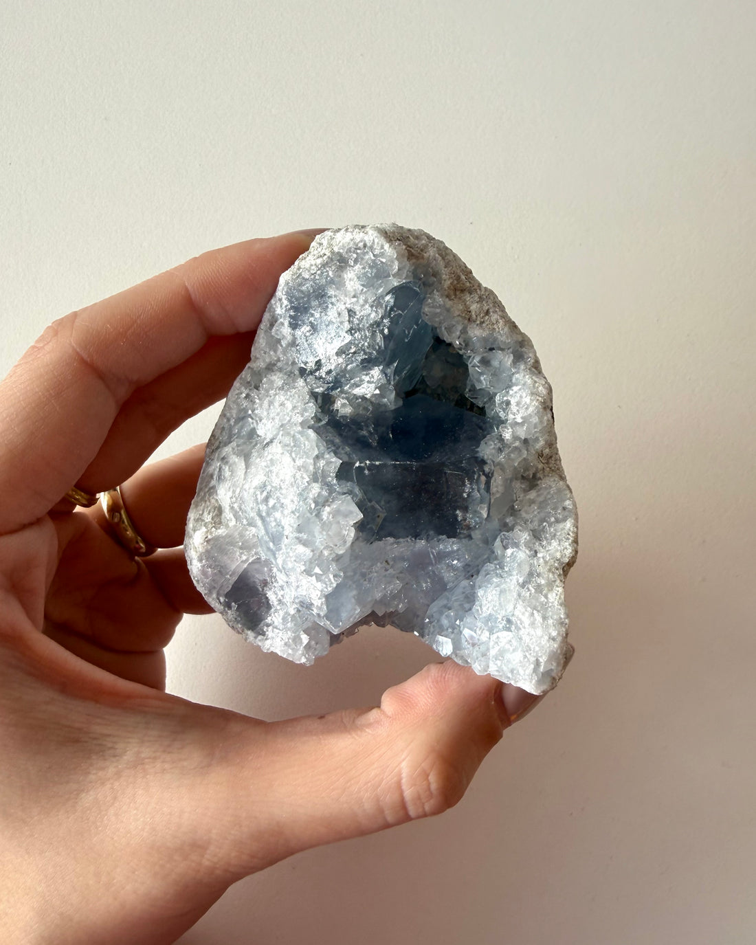 Drusa di Celestina (5)