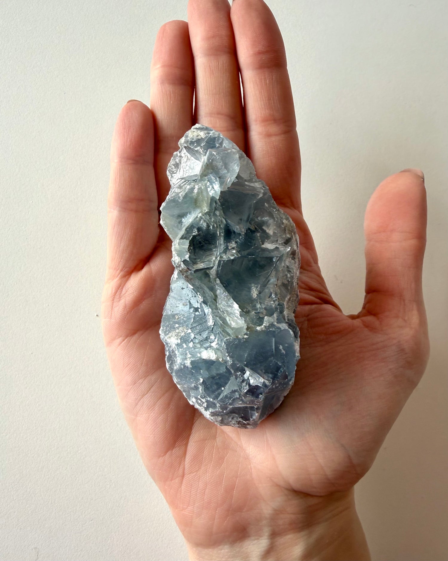 Drusa di Celestina (7)