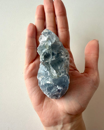 Drusa di Celestina (7)