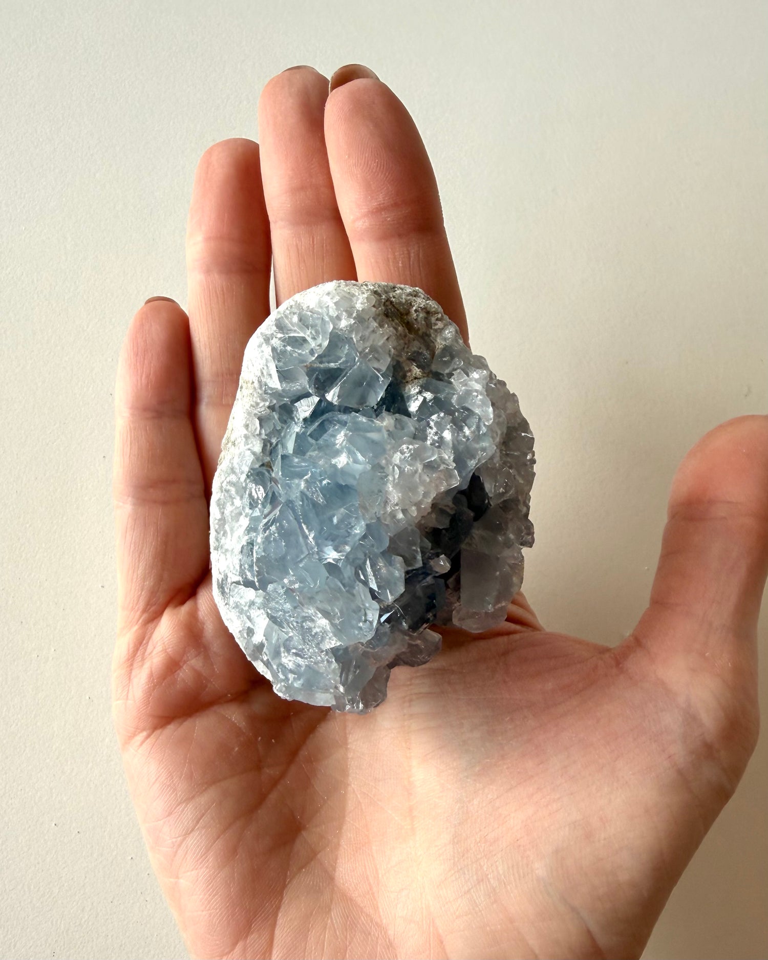 Drusa di Celestina (4)