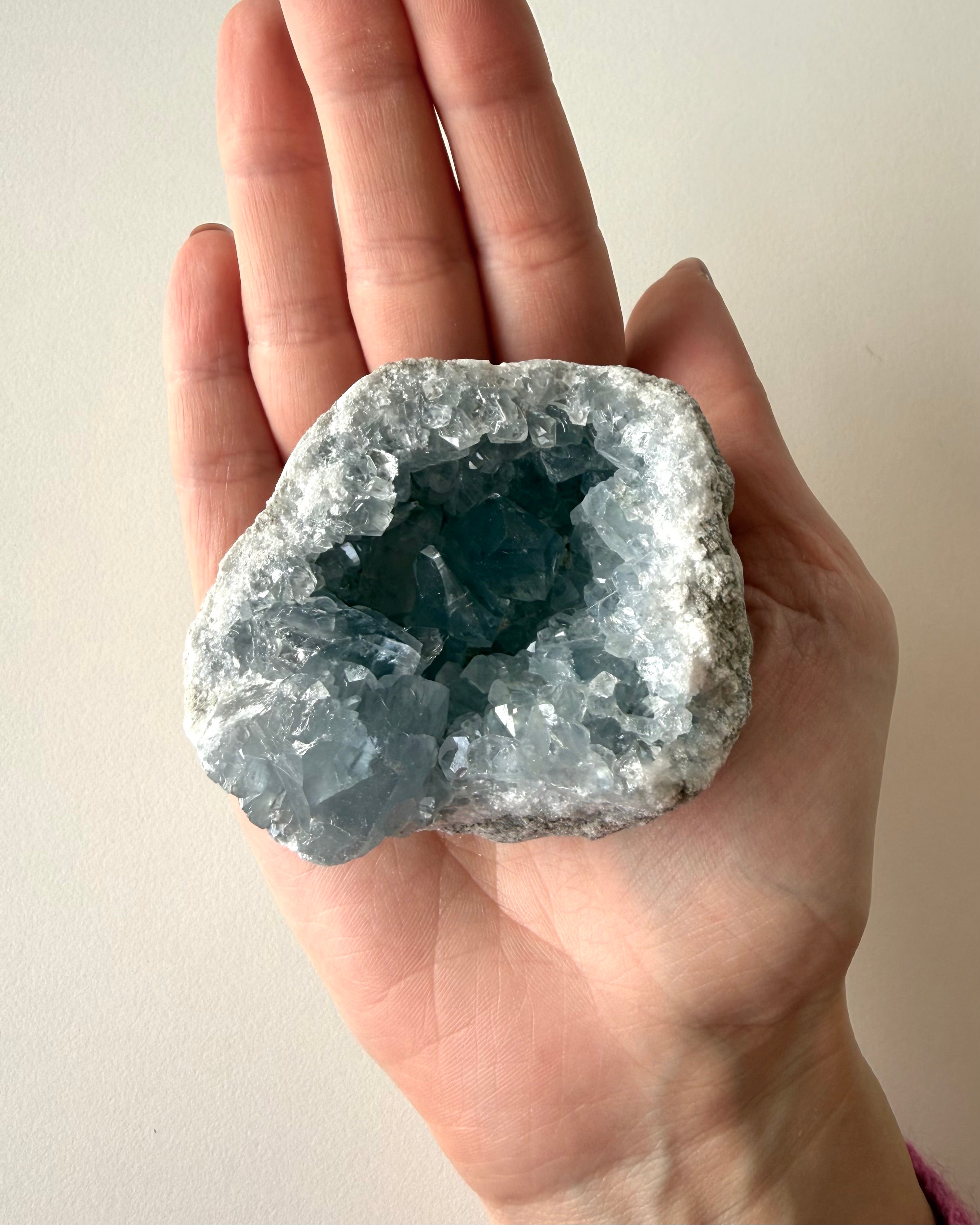 Drusa di Celestina (1)