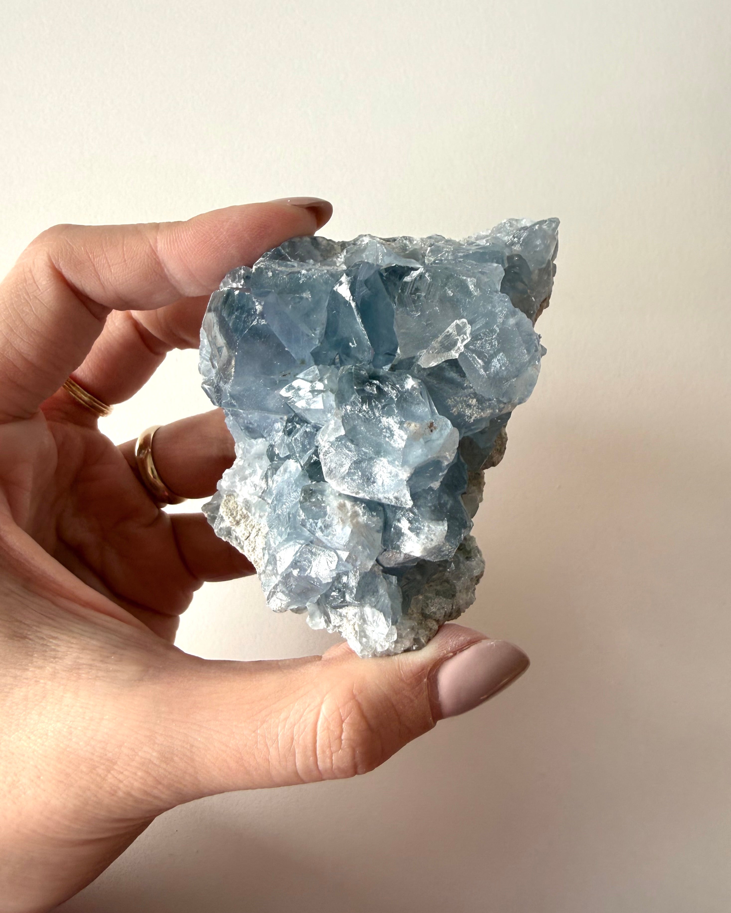 Drusa di Celestina (15)