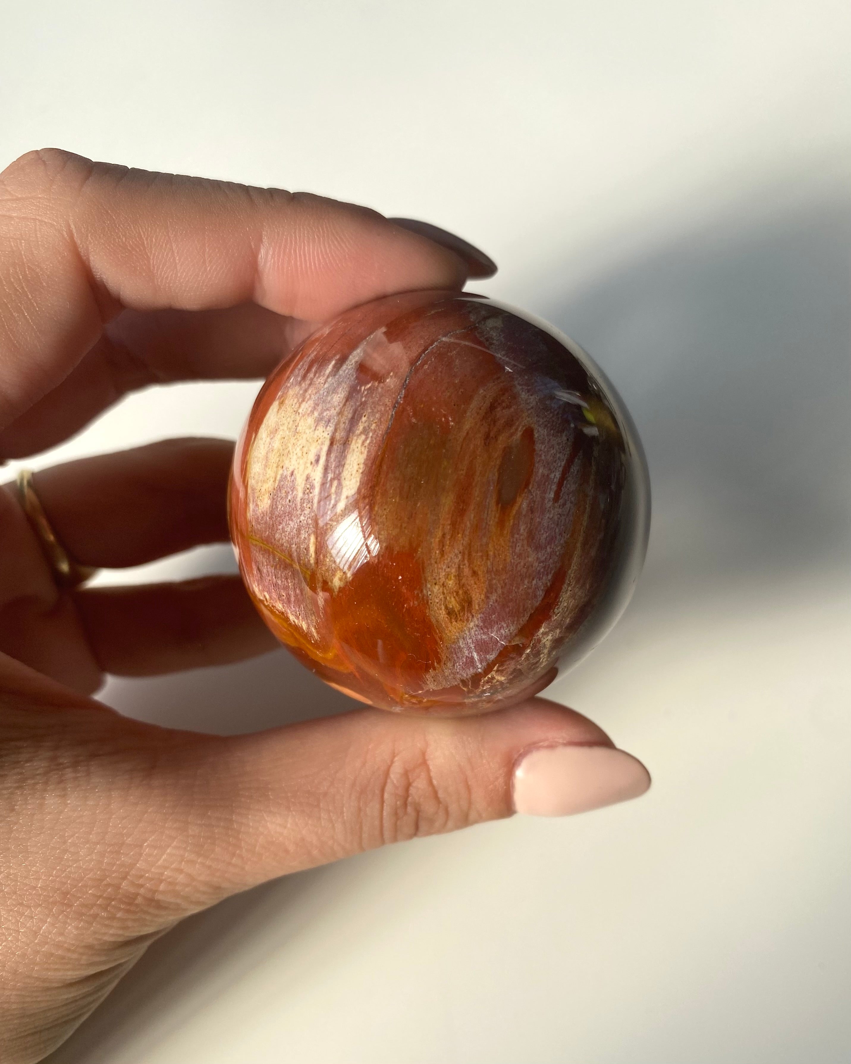 Sfera in Legno Fossile