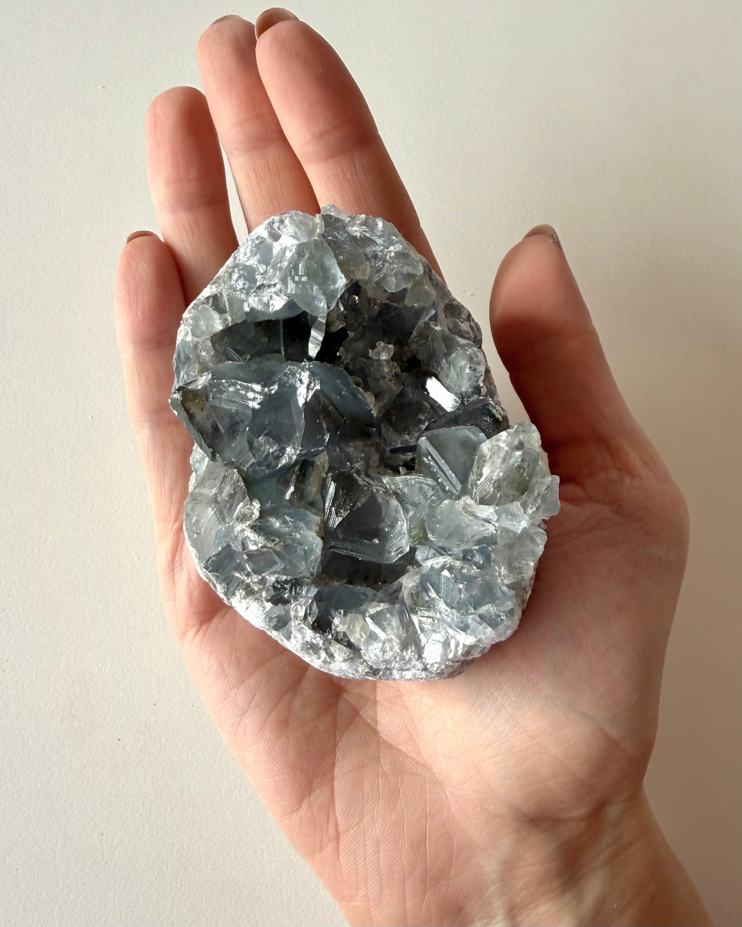 Drusa di Celestina (10)