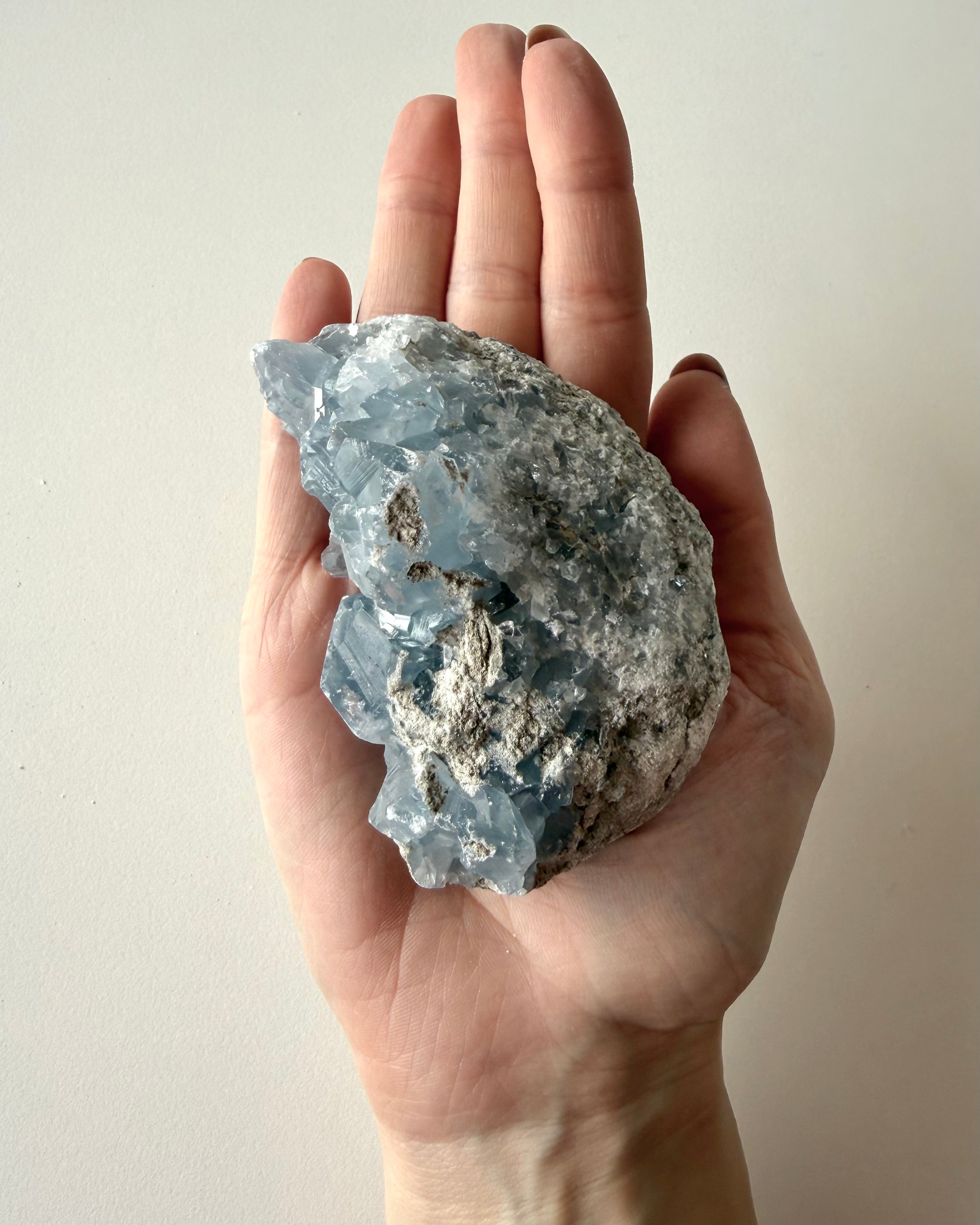 Drusa di Celestina (12)