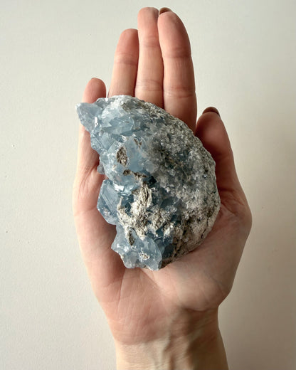 Drusa di Celestina (12)