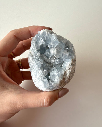 Drusa di Celestina (17)