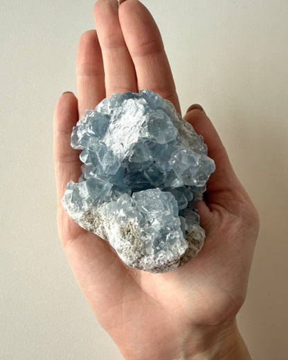 Drusa di Celestina (3)