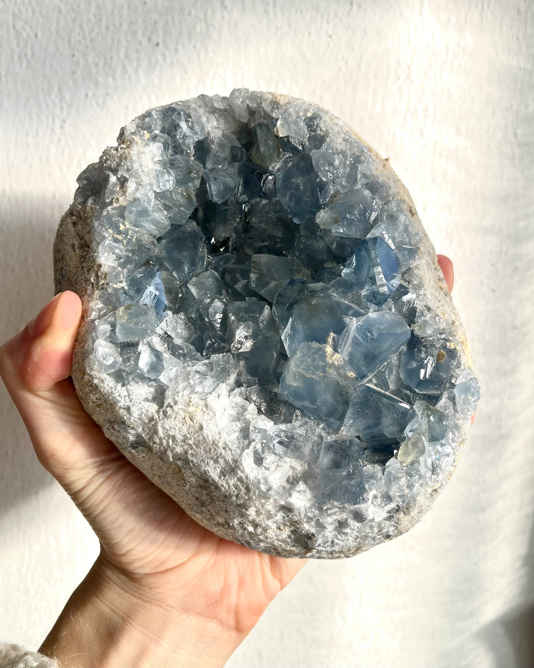 Drusa di Celestina