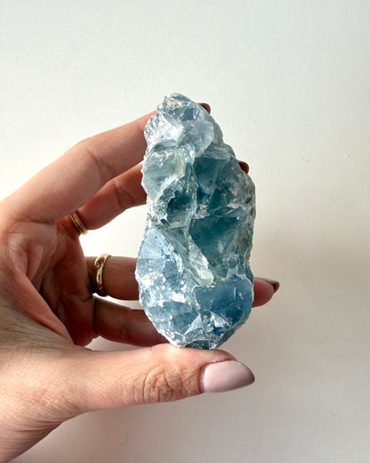 Drusa di Celestina (7)