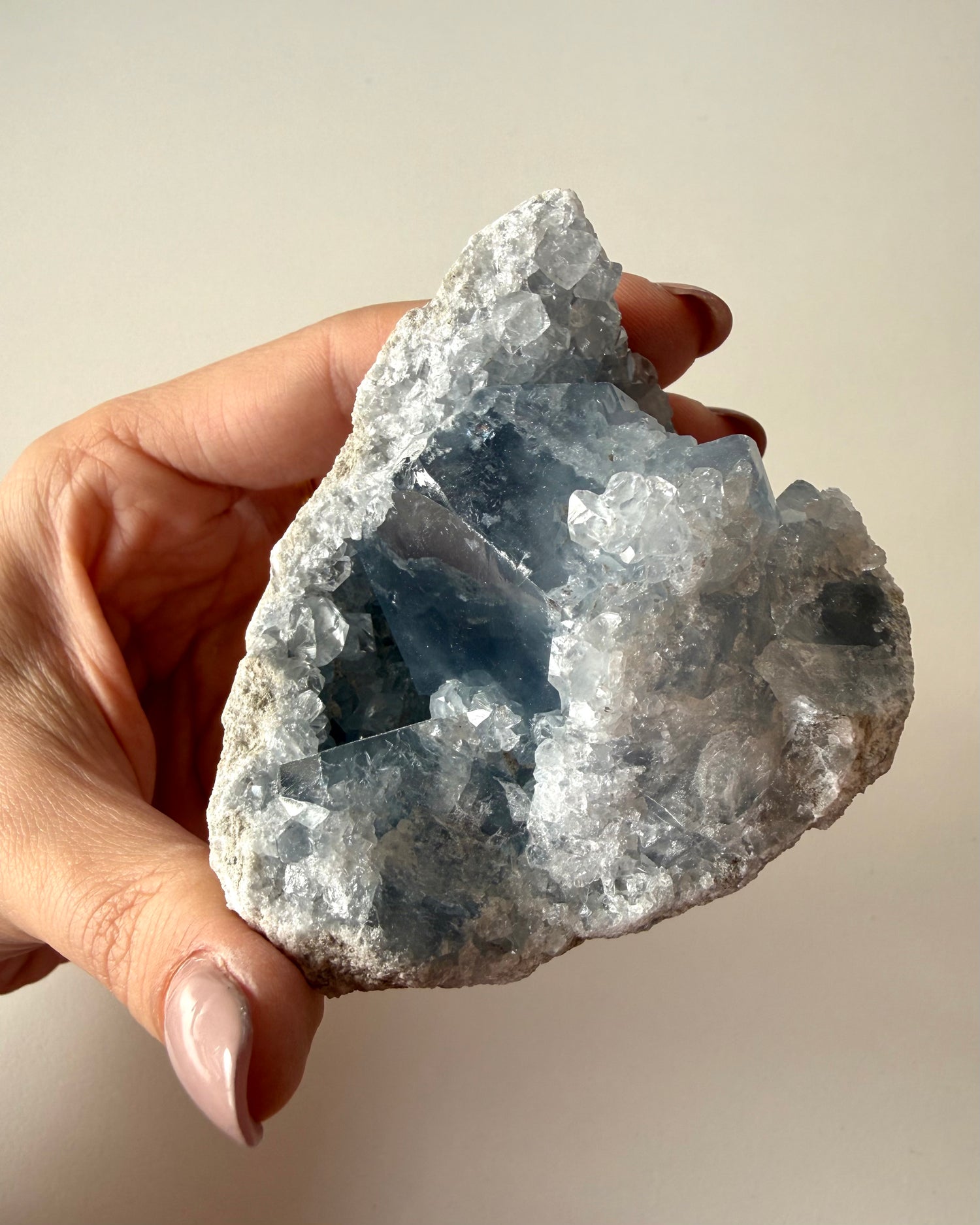 Drusa di Celestina (5)