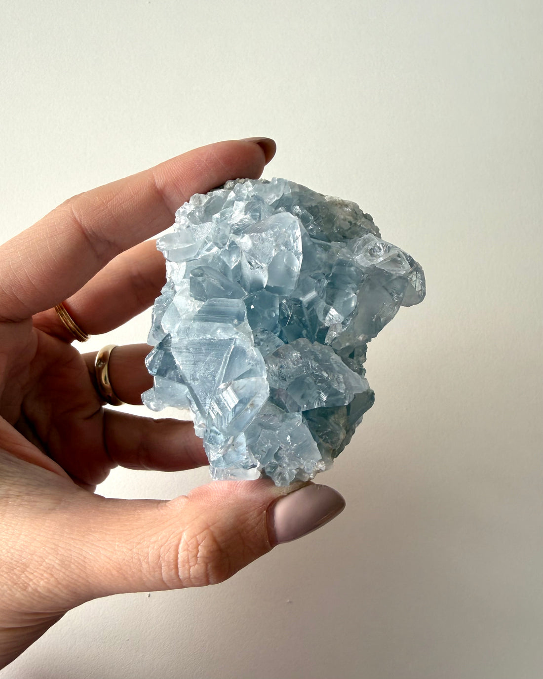 Drusa di Celestina (13)