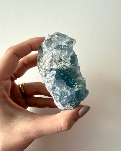 Drusa di Celestina (7)