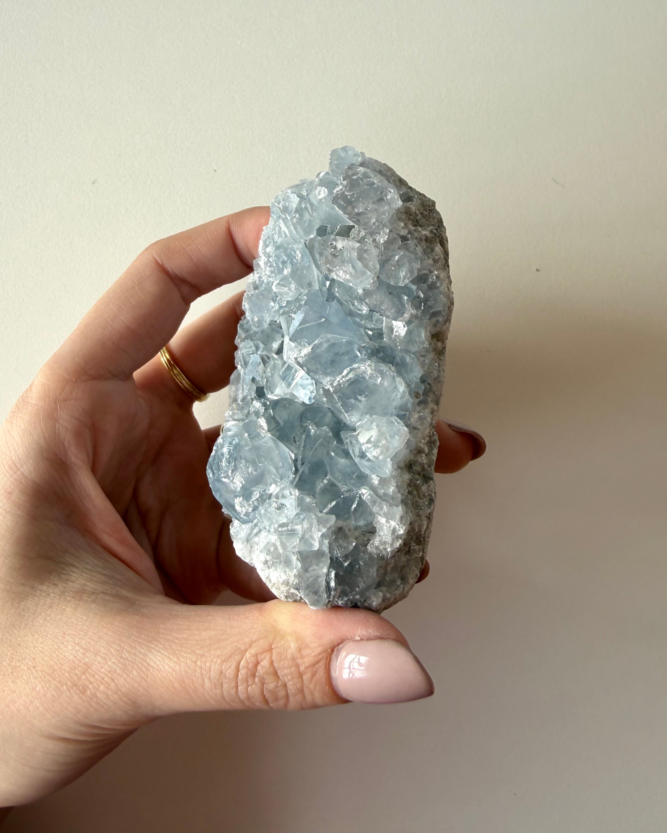 Drusa di Celestina (2)