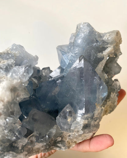 Drusa di Celestina