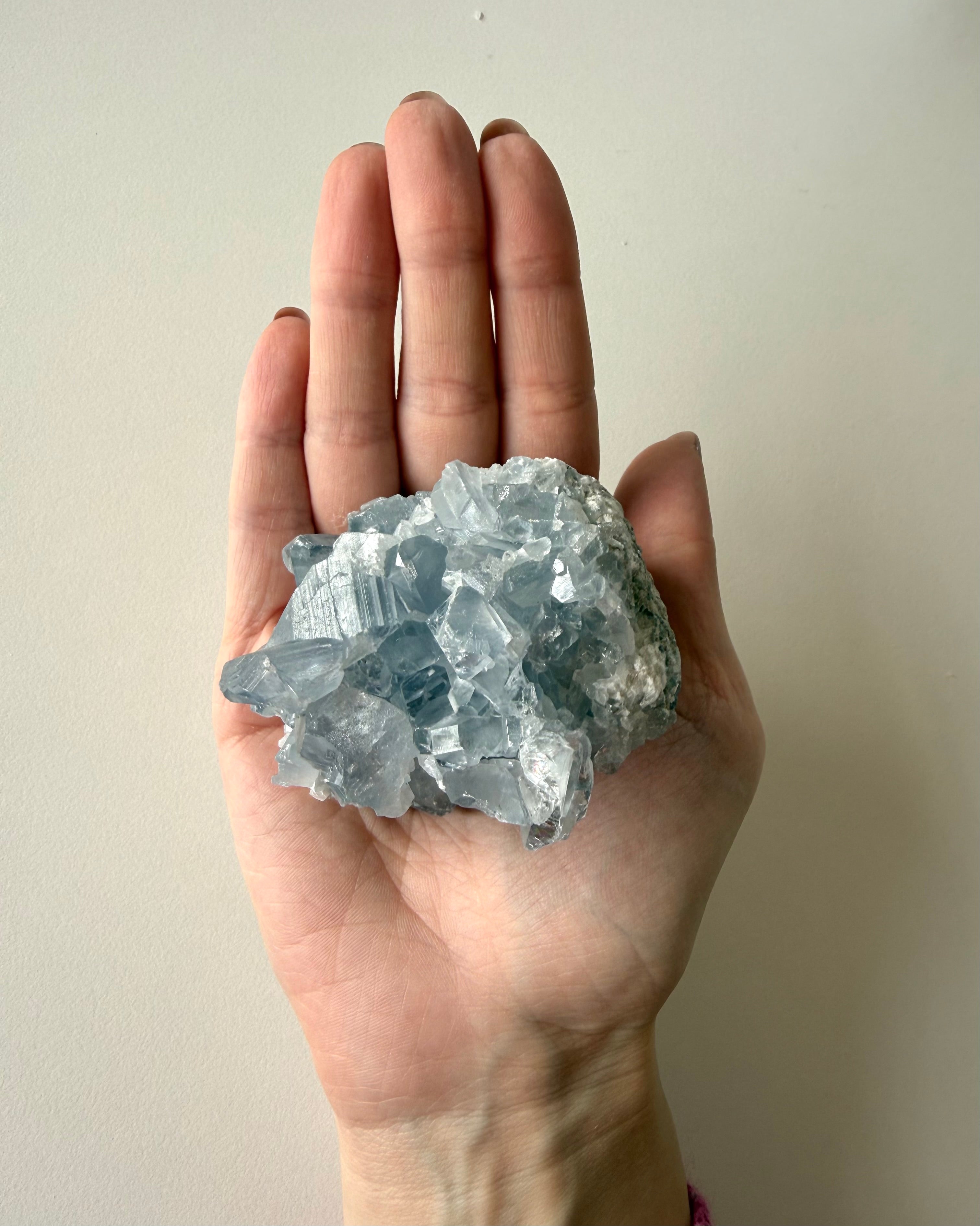 Drusa di Celestina (13)