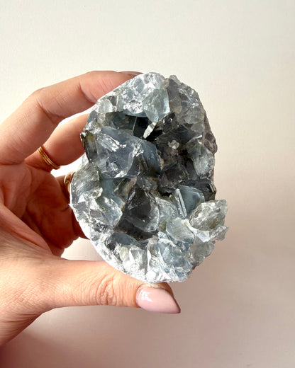 Drusa di Celestina (10)