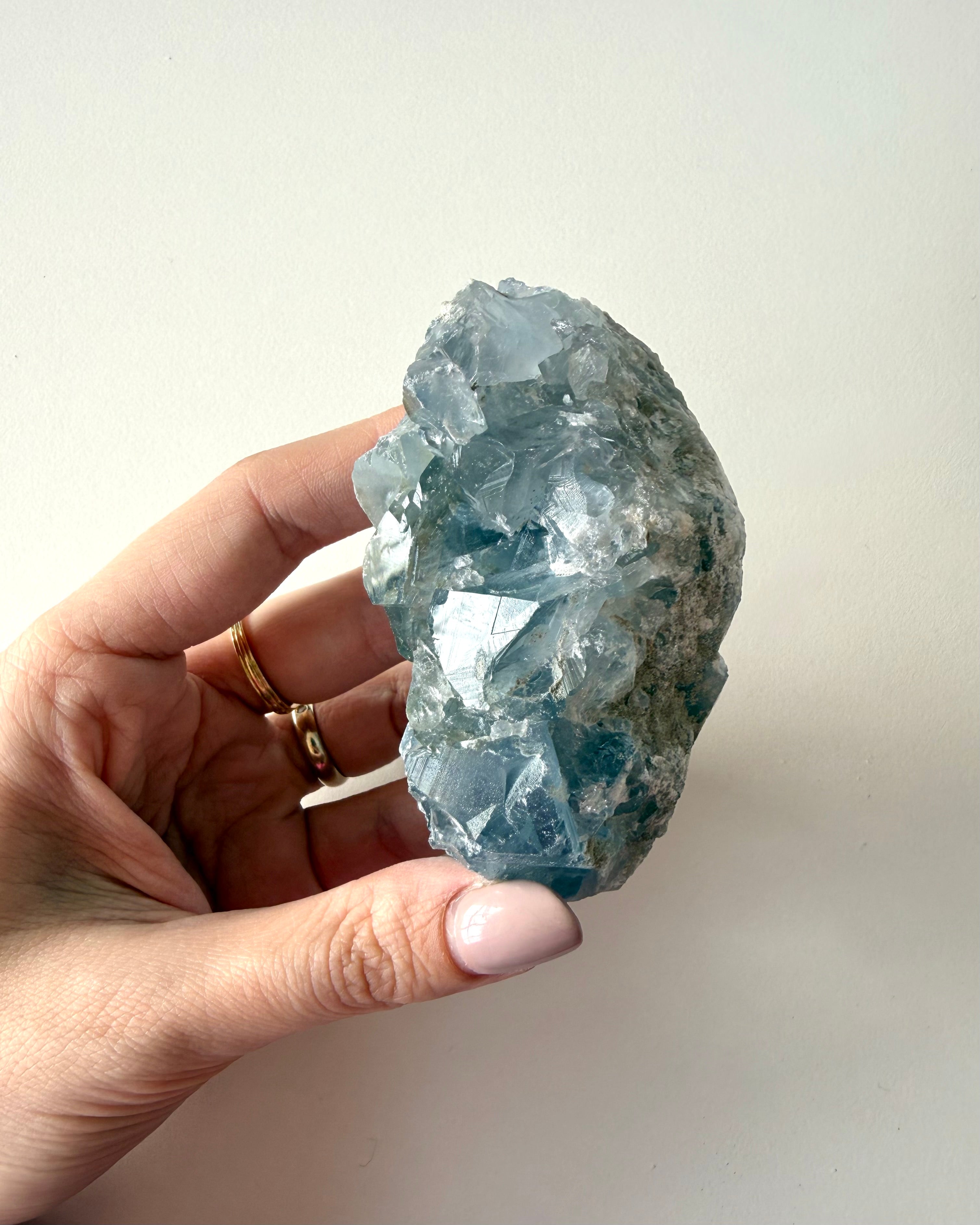 Drusa di Celestina (7)