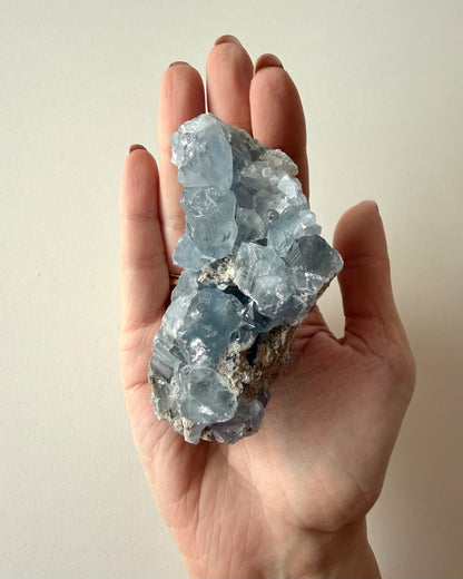 Drusa di Celestina (12)