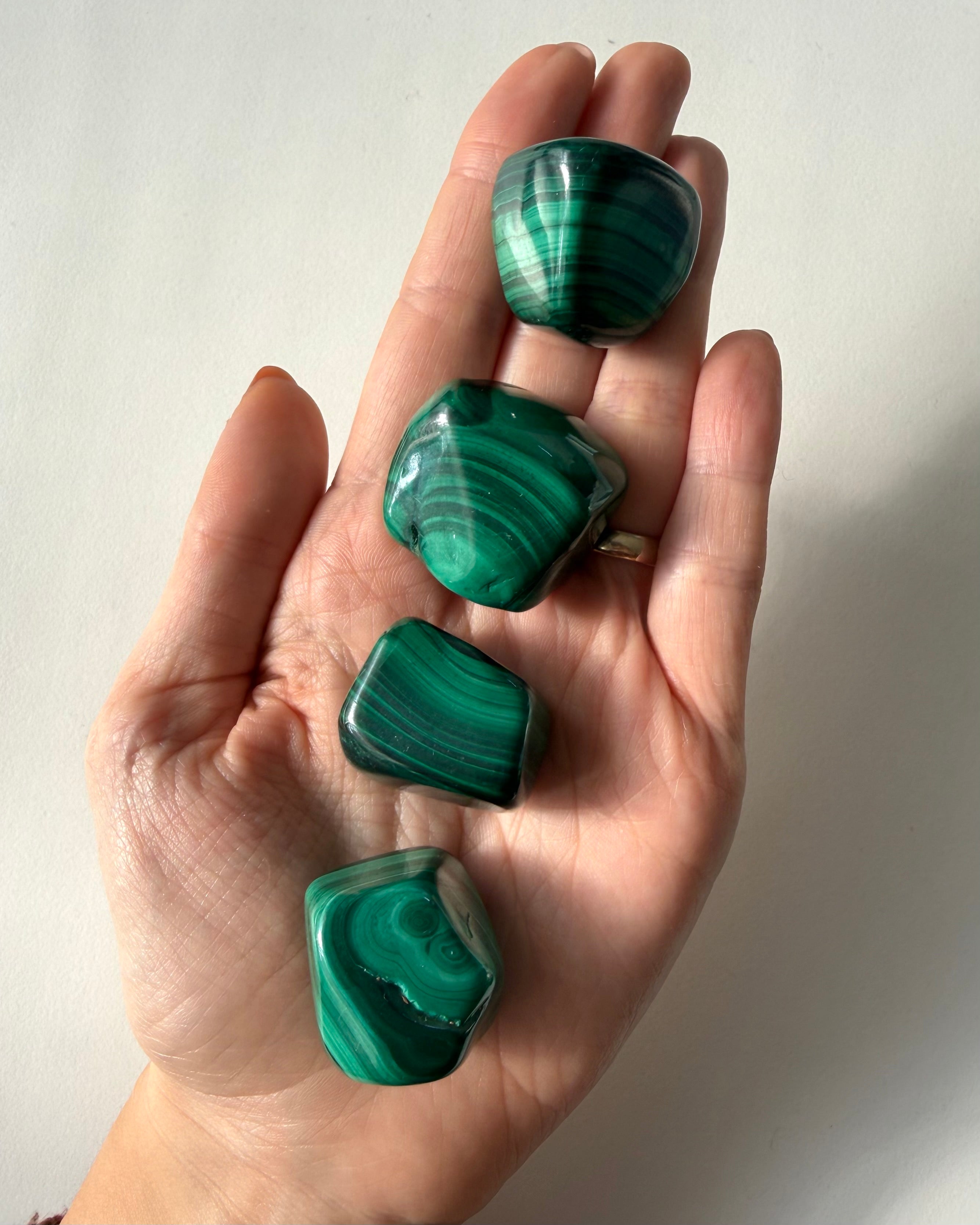 Malachite burattata