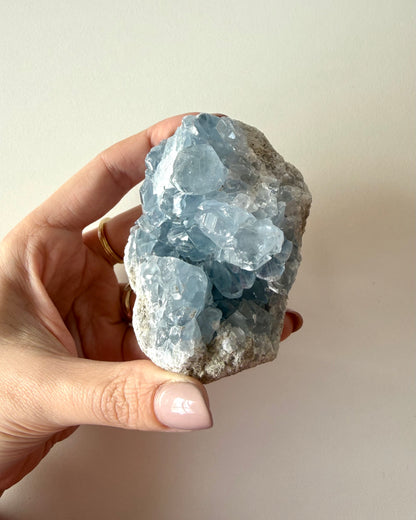 Drusa di Celestina (3)