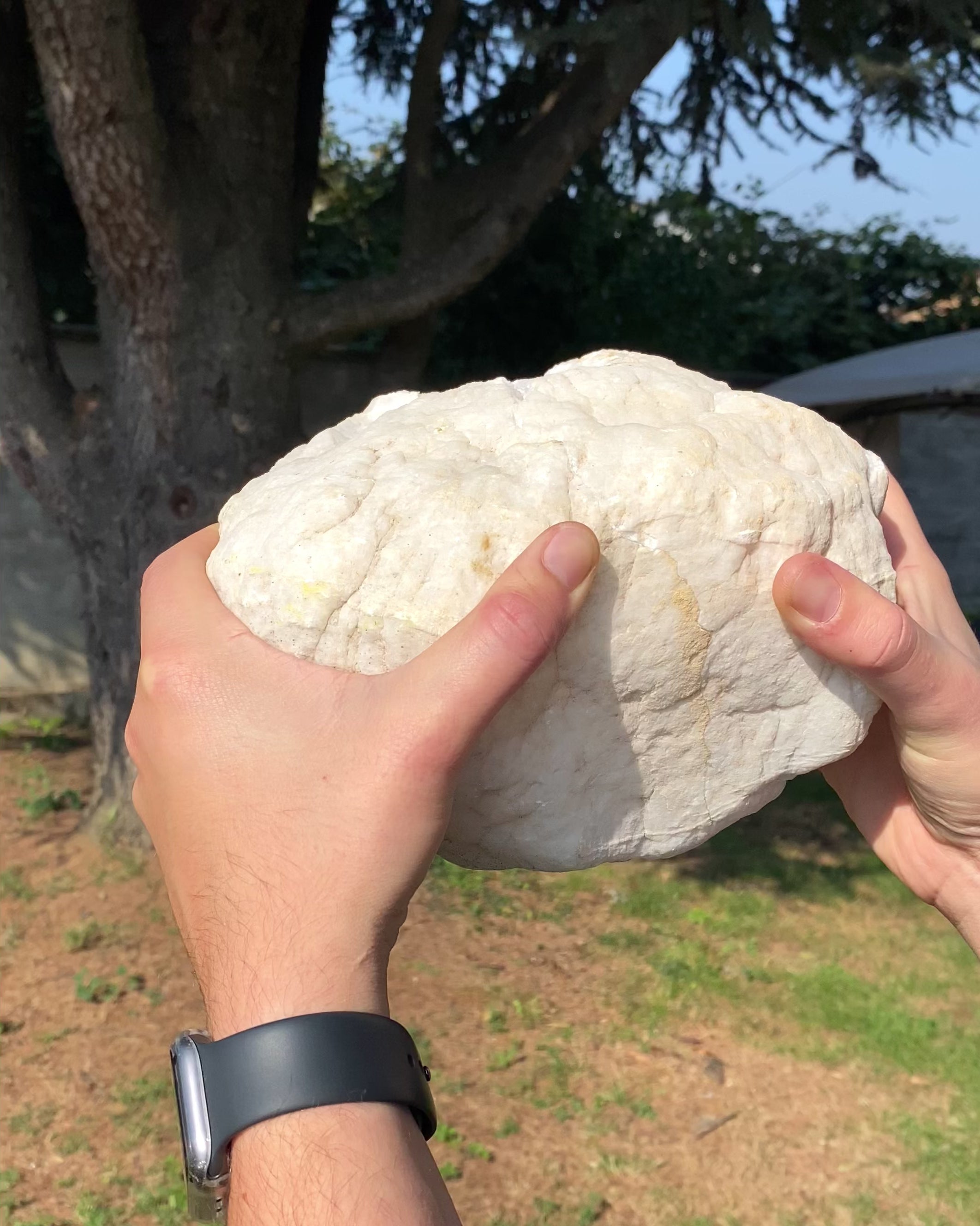 Geode di Quarzo Ialino del Sahara