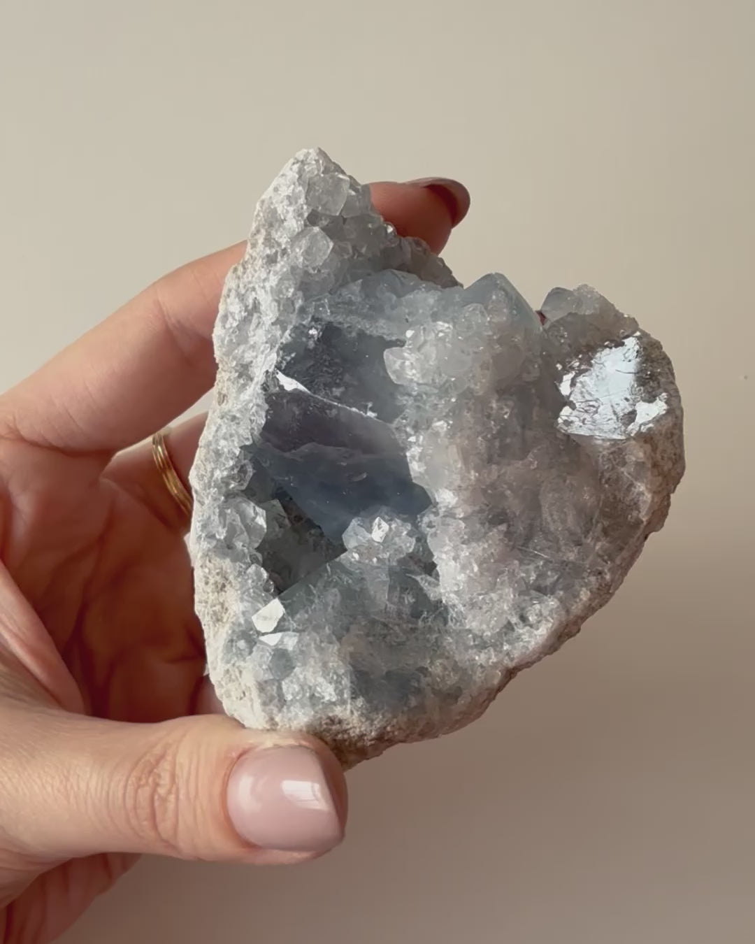 Drusa di Celestina (5)